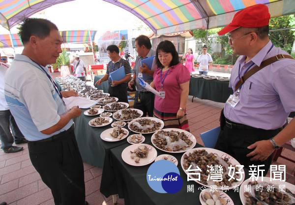 由專業團隊嚴選雲林優質文蛤,並將經驗分享給在地農漁民,協助避免因氣候驟變而造成損失。(記者陳昭宗拍攝)