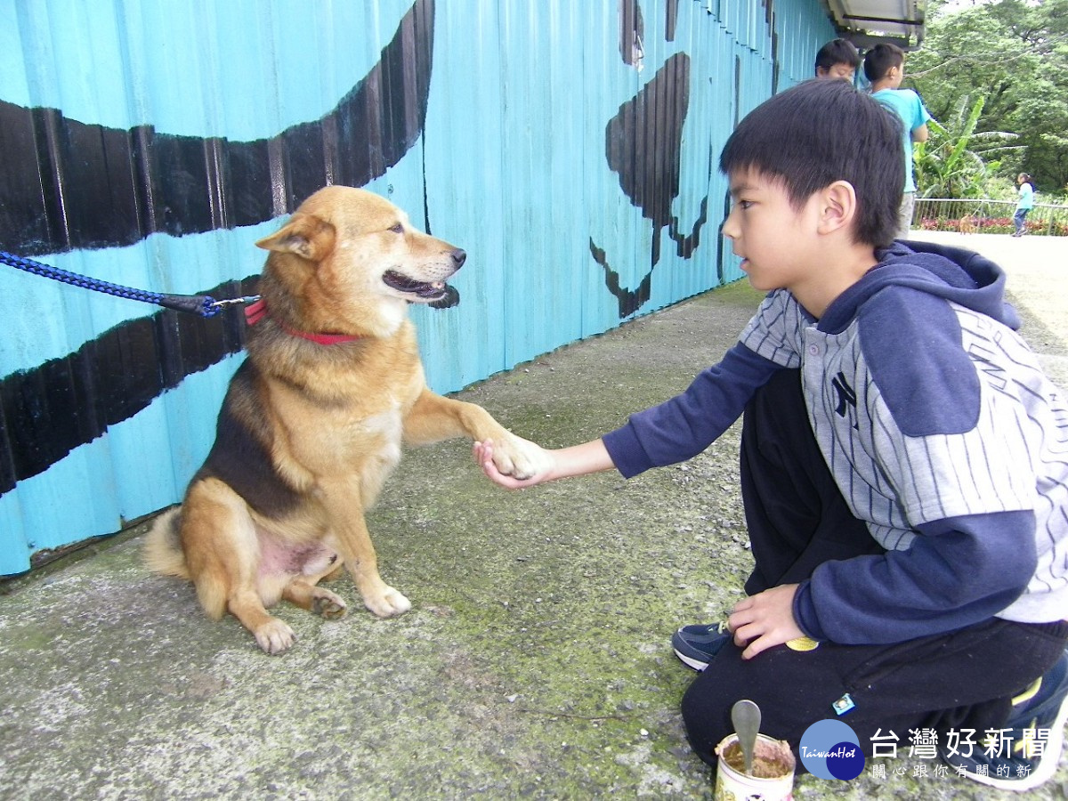 新北動保處招募生命教育志工　學習如何善待動物及緊急救援