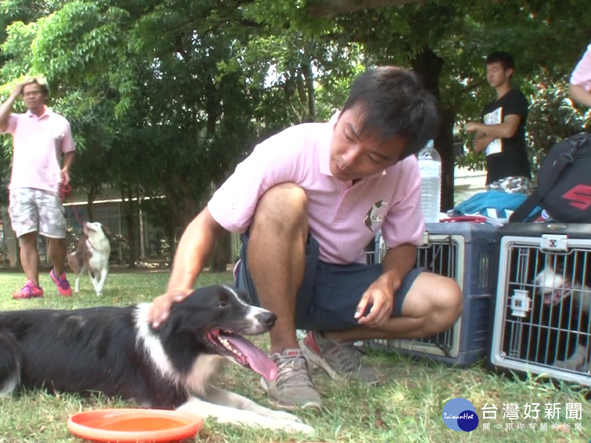 毛小孩運動會　9/2新竹北大公園登場