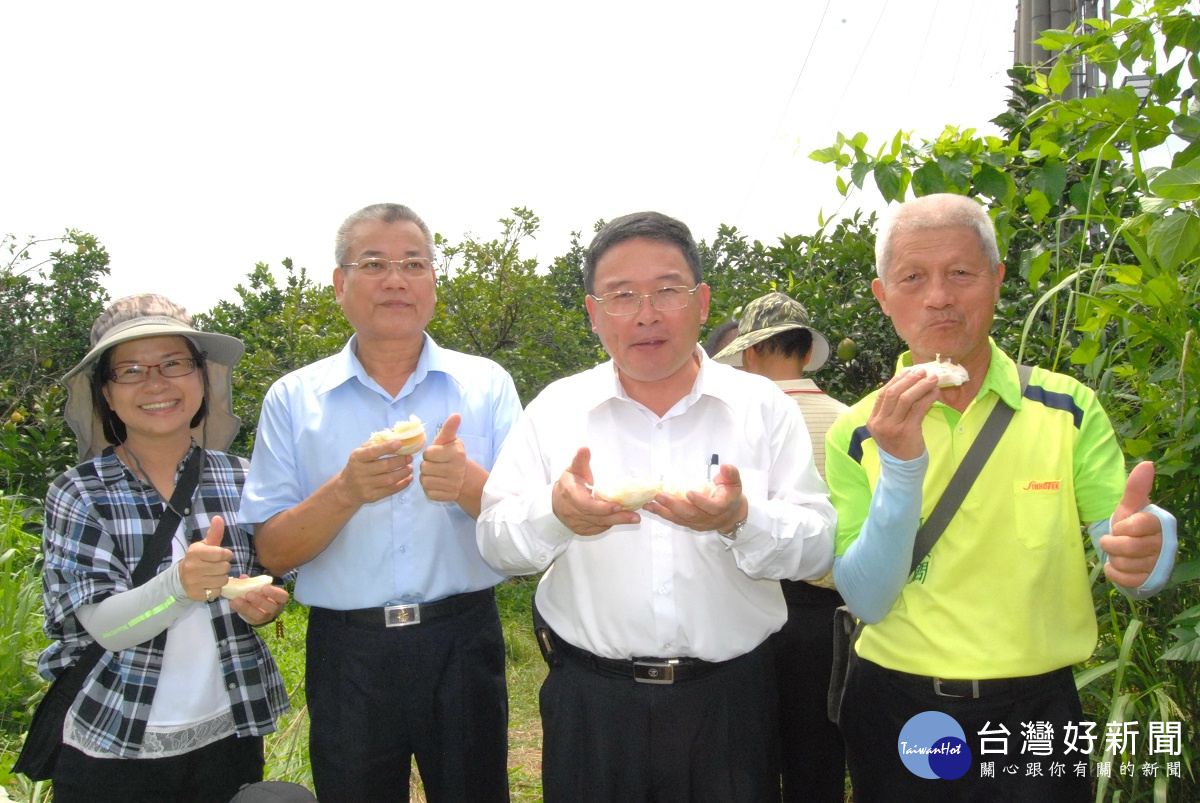 市長邱建富等人等人品嘗與推薦文旦袖果實的香甜。圖/彰化市公所提供