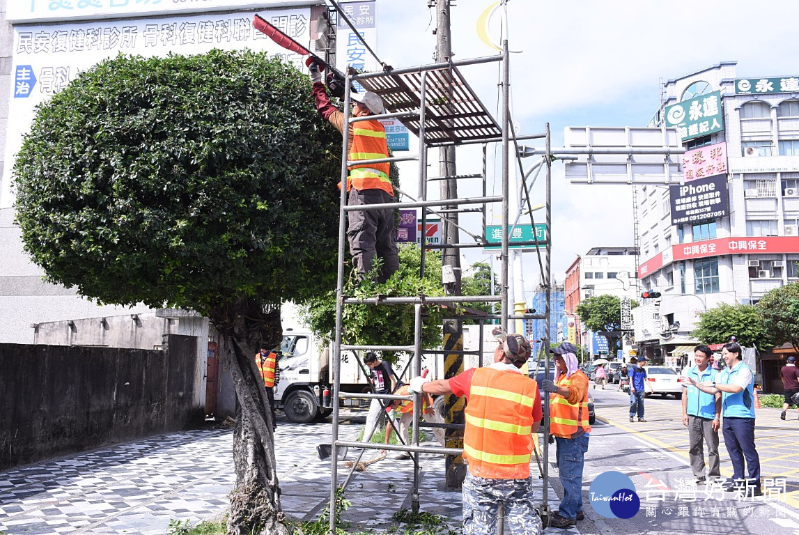 美化市容兼具創意　花蓮市修剪林森路行道樹