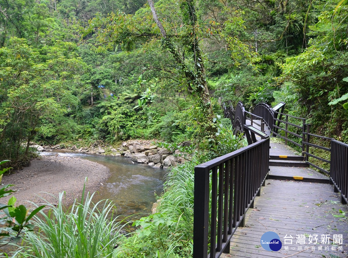 探尋步道大自然美景　新北森林步道輕旅行受青睞