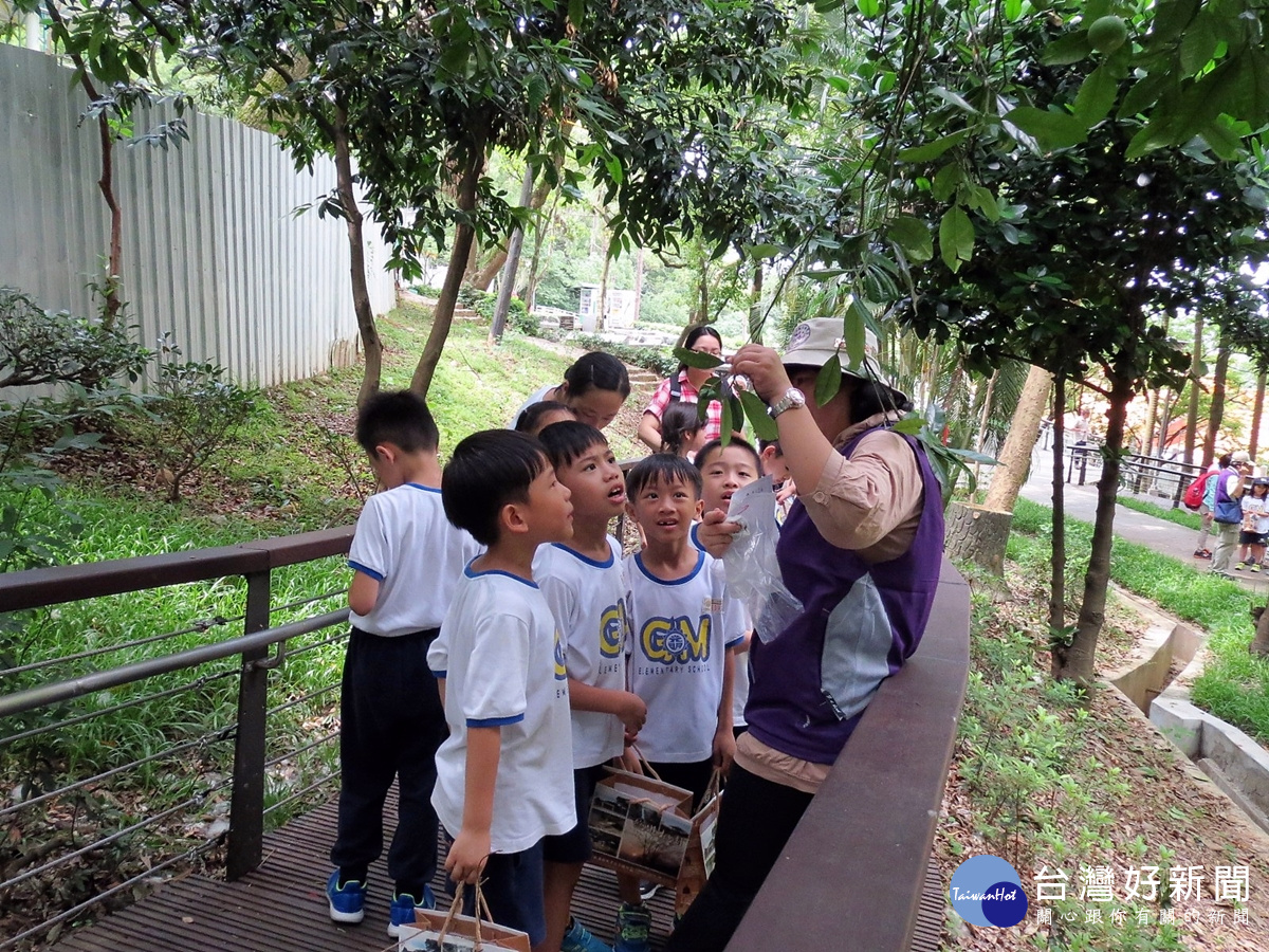 桃園人的後花園　虎頭山公園擁有優良環境教育場所