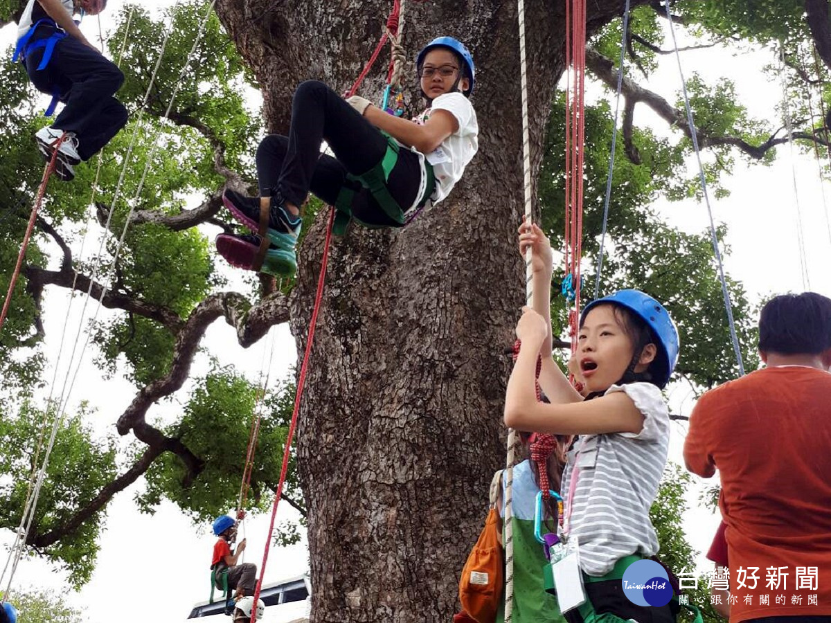苗縣繩索攀樹親子研習活動　體驗大樹強健生命力