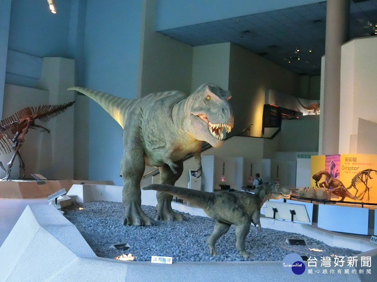 科博館各類典藏豐富，恐龍館是必看的展館。（記者賴淑禎攝）