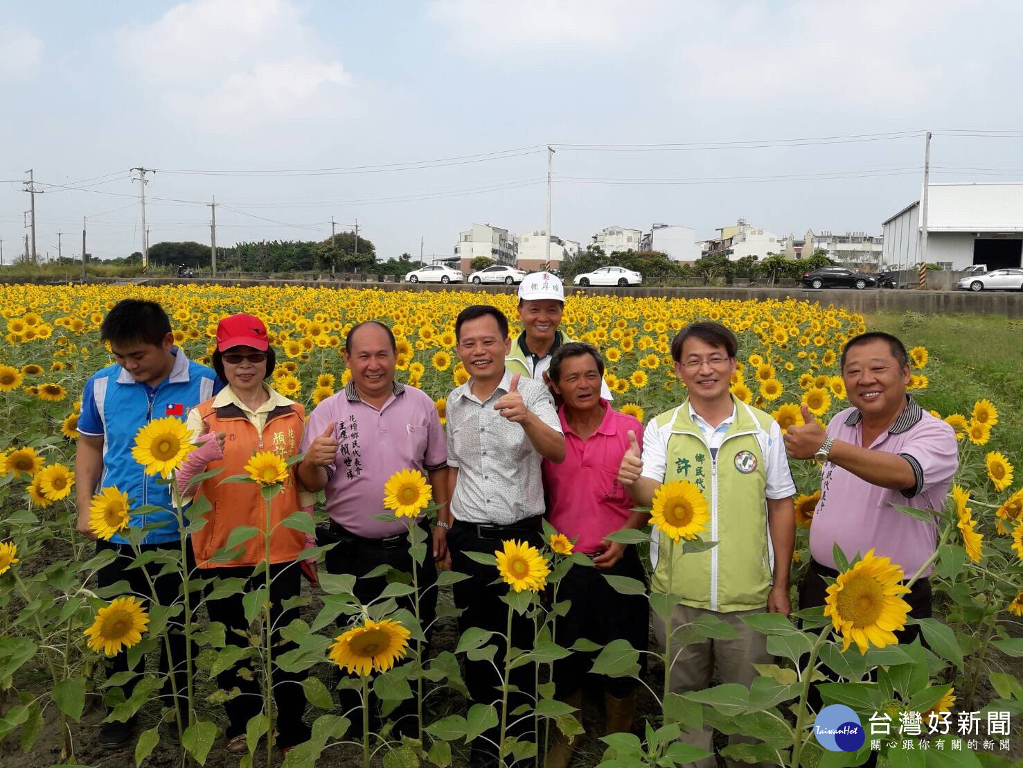 花壇新秘境 彩繪稻田與向日葵花海令人驚豔 台灣好新聞taiwanhot