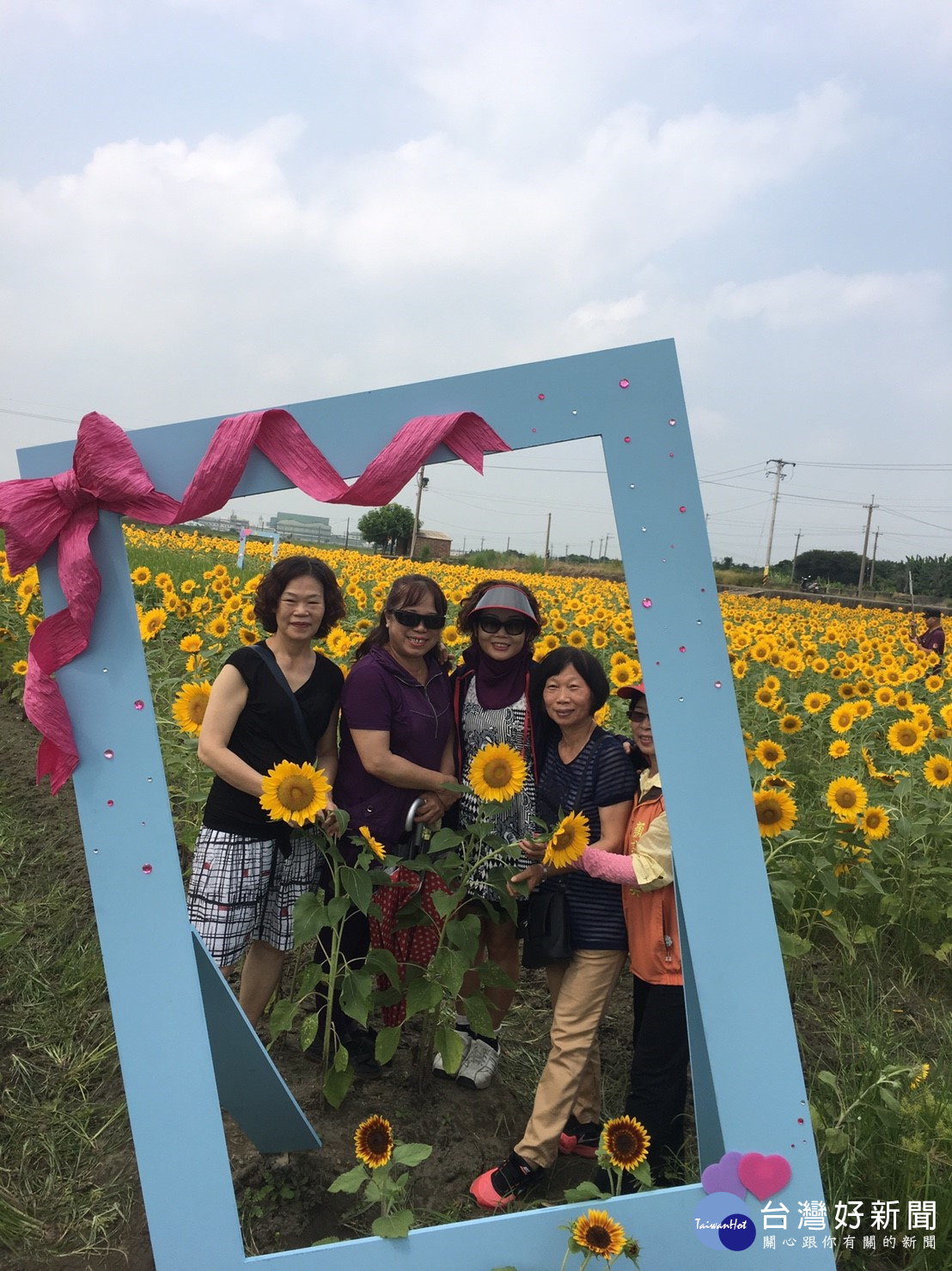 民眾在向日葵花海中留影。