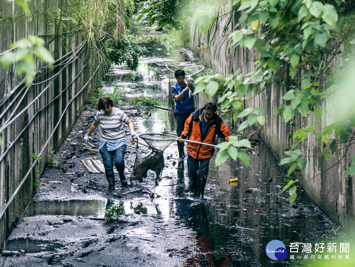 犬貓等動物救援業務過去數十年來皆由消防局同仁默默承接，即日起全面回歸動保處。（圖／動保處提供）