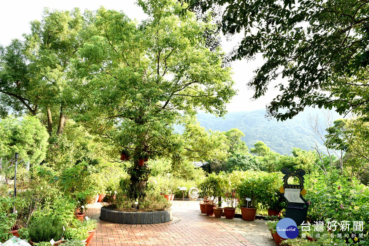 藥用植物園（圖／北市大地工程處提供）