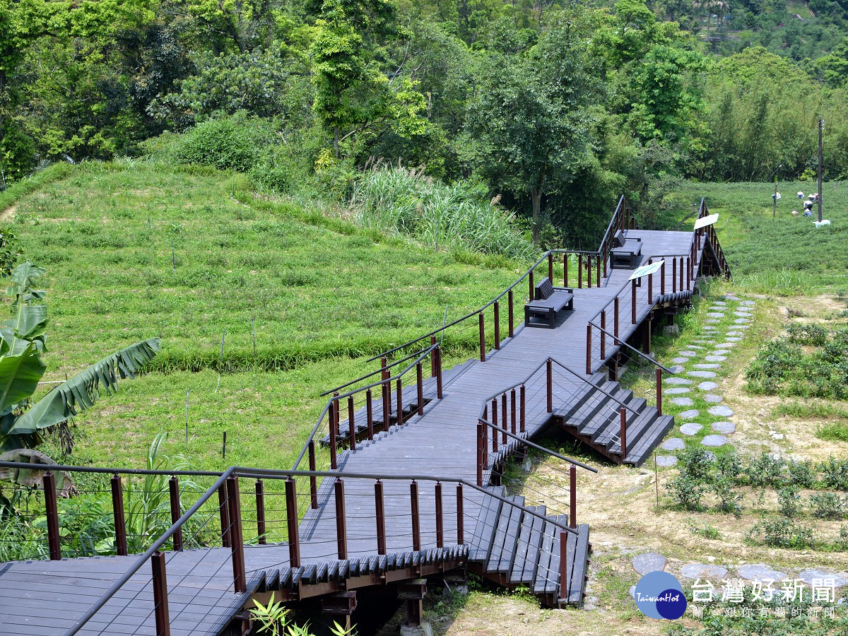 貓空水土保持茶園木棧道,民眾可沿線飽覽茶園景緻(圖/大地工程處提供)