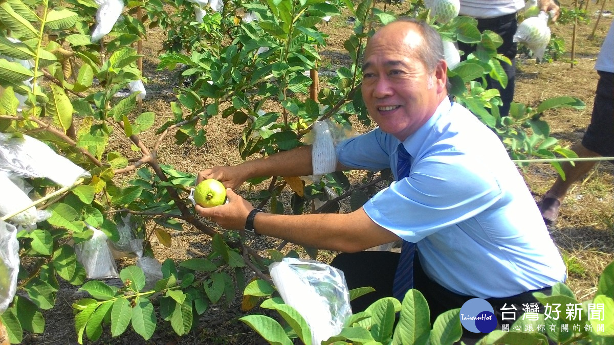 連假旅遊何處去? 二水八堡圳農情館推採果採蓮藕好康拿不完