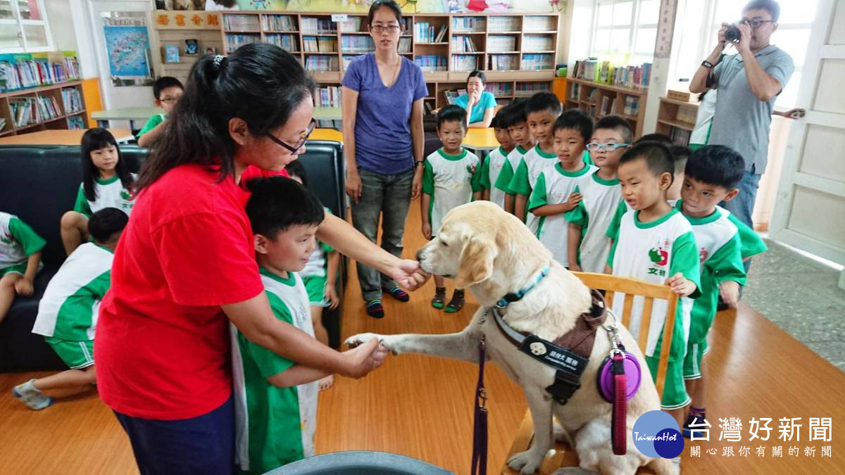 毛小孩伴讀成效大　文德國小打破過去刻版印象