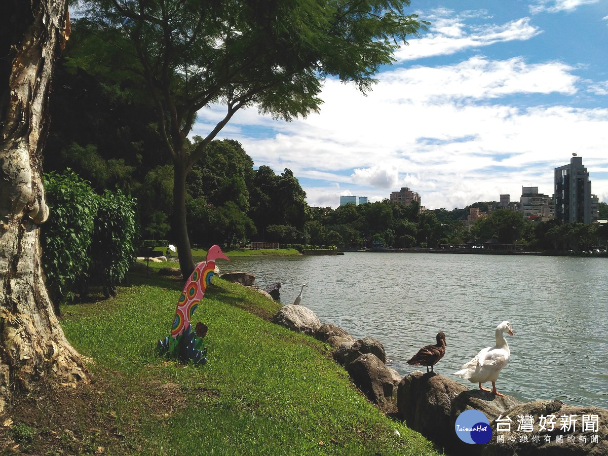 小白鷺、菜鴨及彩繪鷺鷥藝術於碧湖岸邊觀賞湖岸美景(圖/公園處提供)