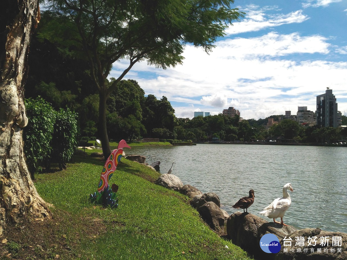 小白鷺、菜鴨及彩繪鷺鷥藝術於碧湖岸邊觀賞湖岸美景（圖／公園處提供）