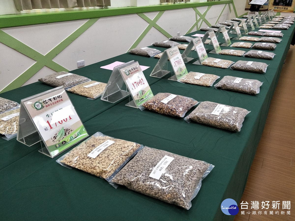 今年參賽的彰化咖啡生豆參加品質評鑑。