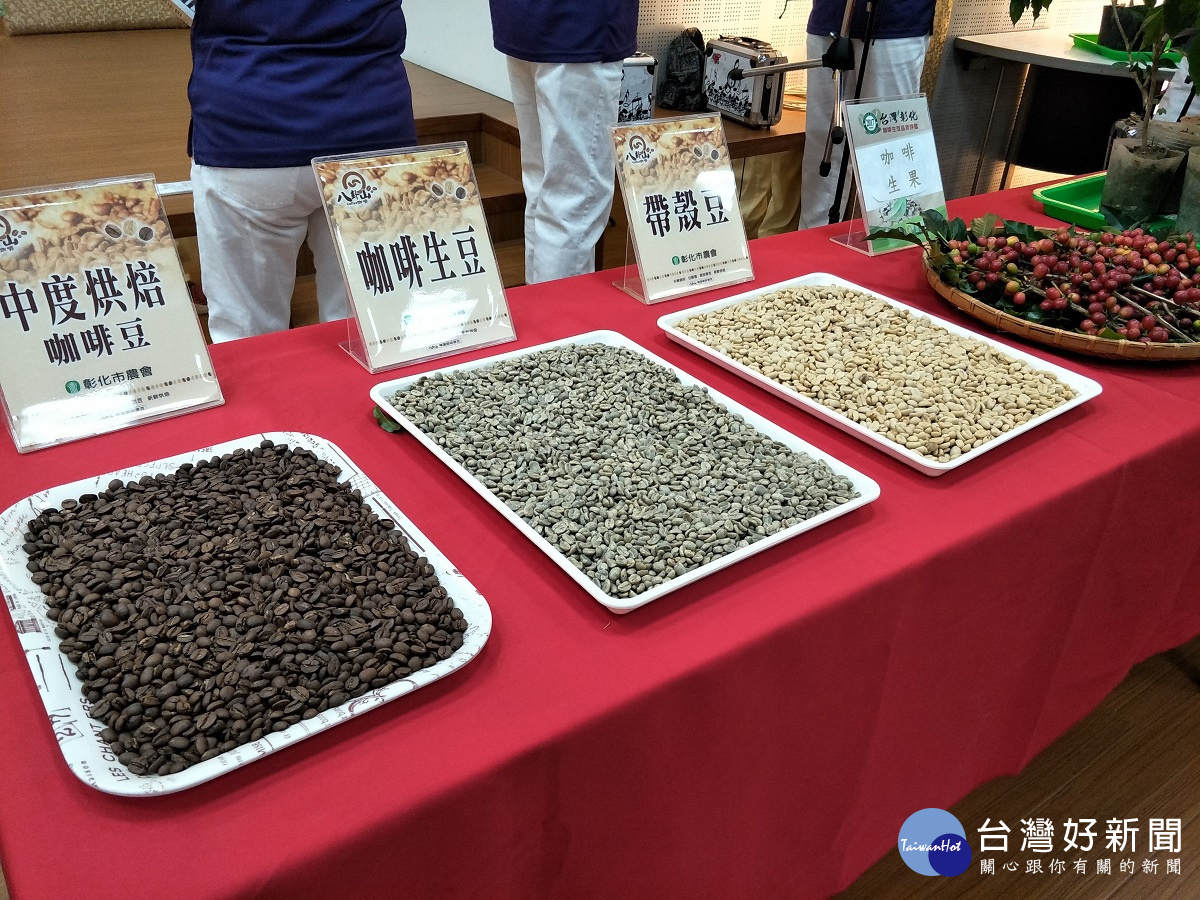 台灣彰化咖啡生豆品質評鑑。