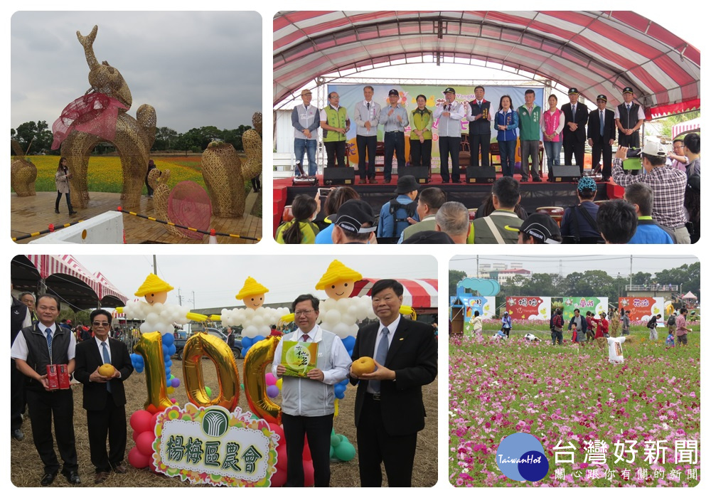 首日活動結合「楊梅區農會百年慶暨桃園市畜產嘉年華會」,場面熱鬧溫馨。