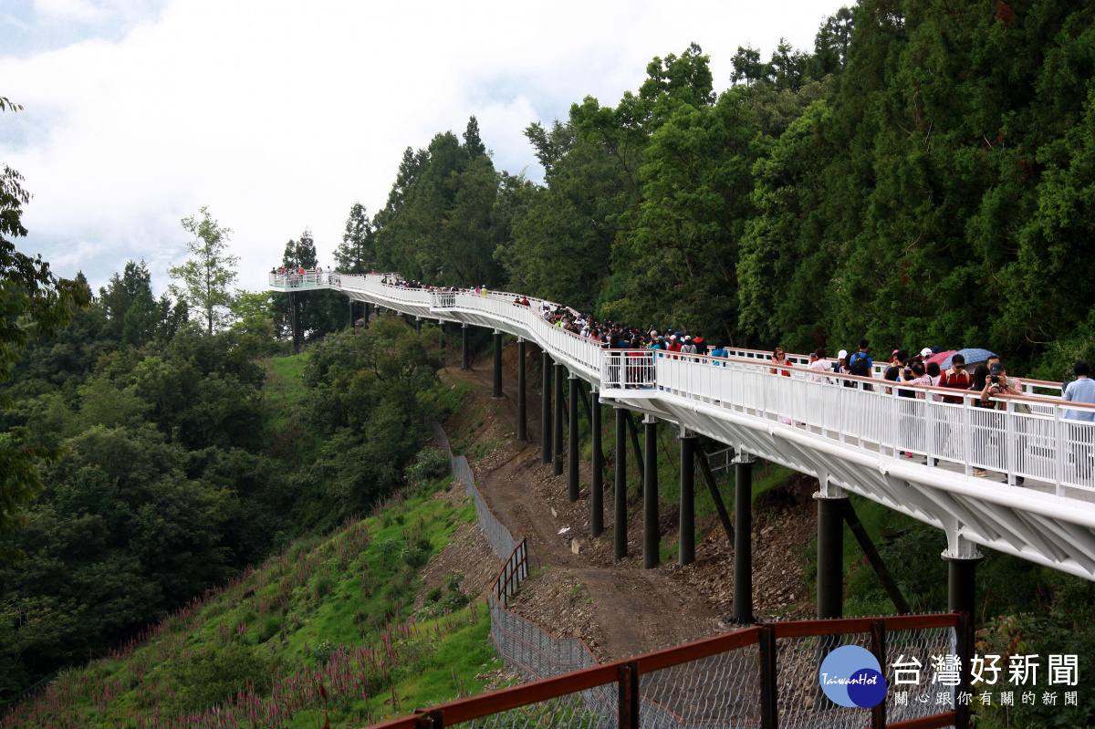 南投清境天空步道景觀迷人。（記者扶小萍攝）