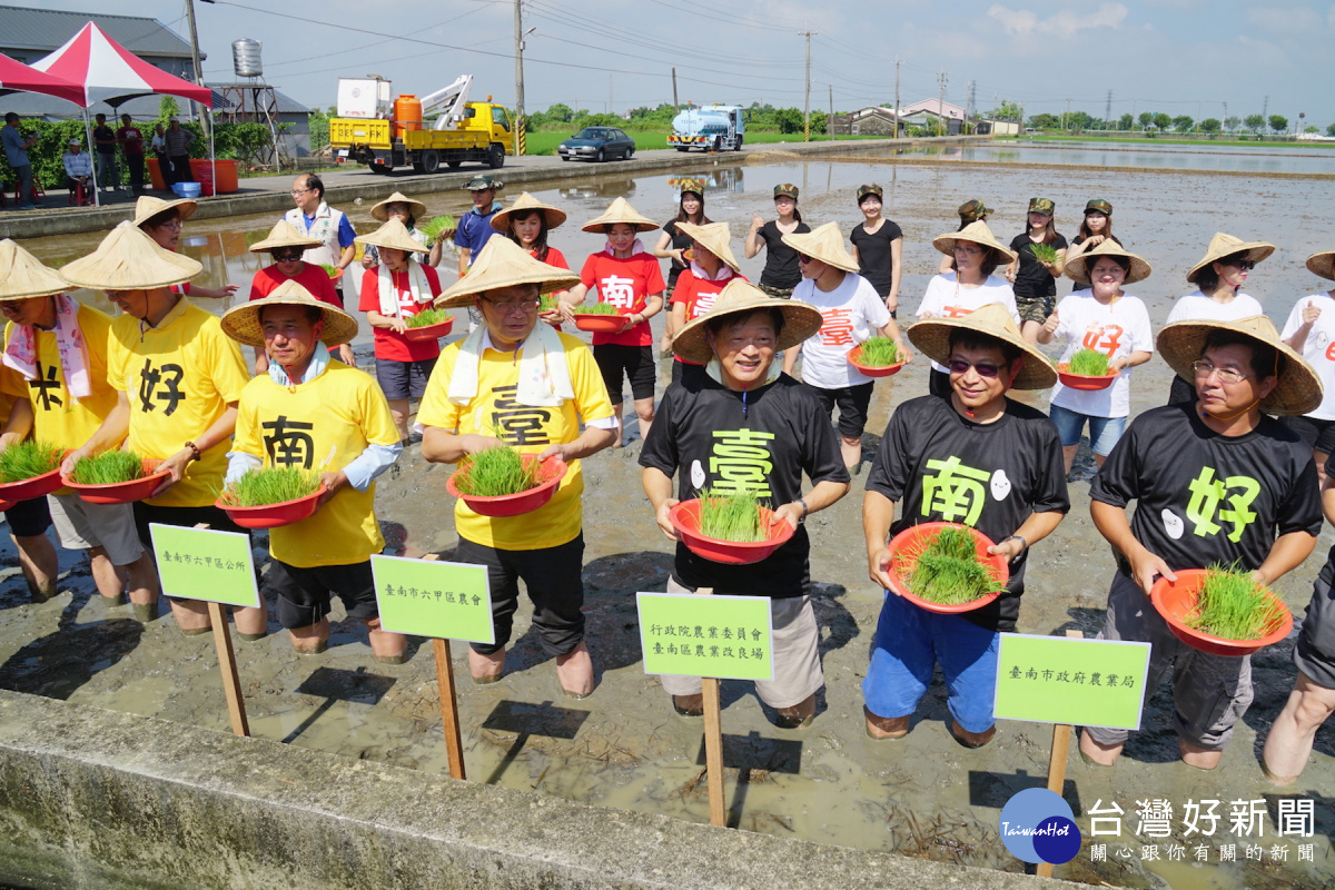 台南越光米晶瑩剔透、食味質媲美越光而得名，引用烏山頭水庫的水灌溉。