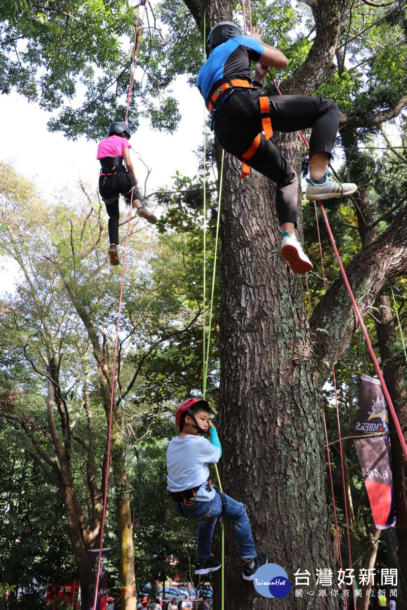 攀樹活動，讓孩子們能盡情體驗與大樹的親密接觸！