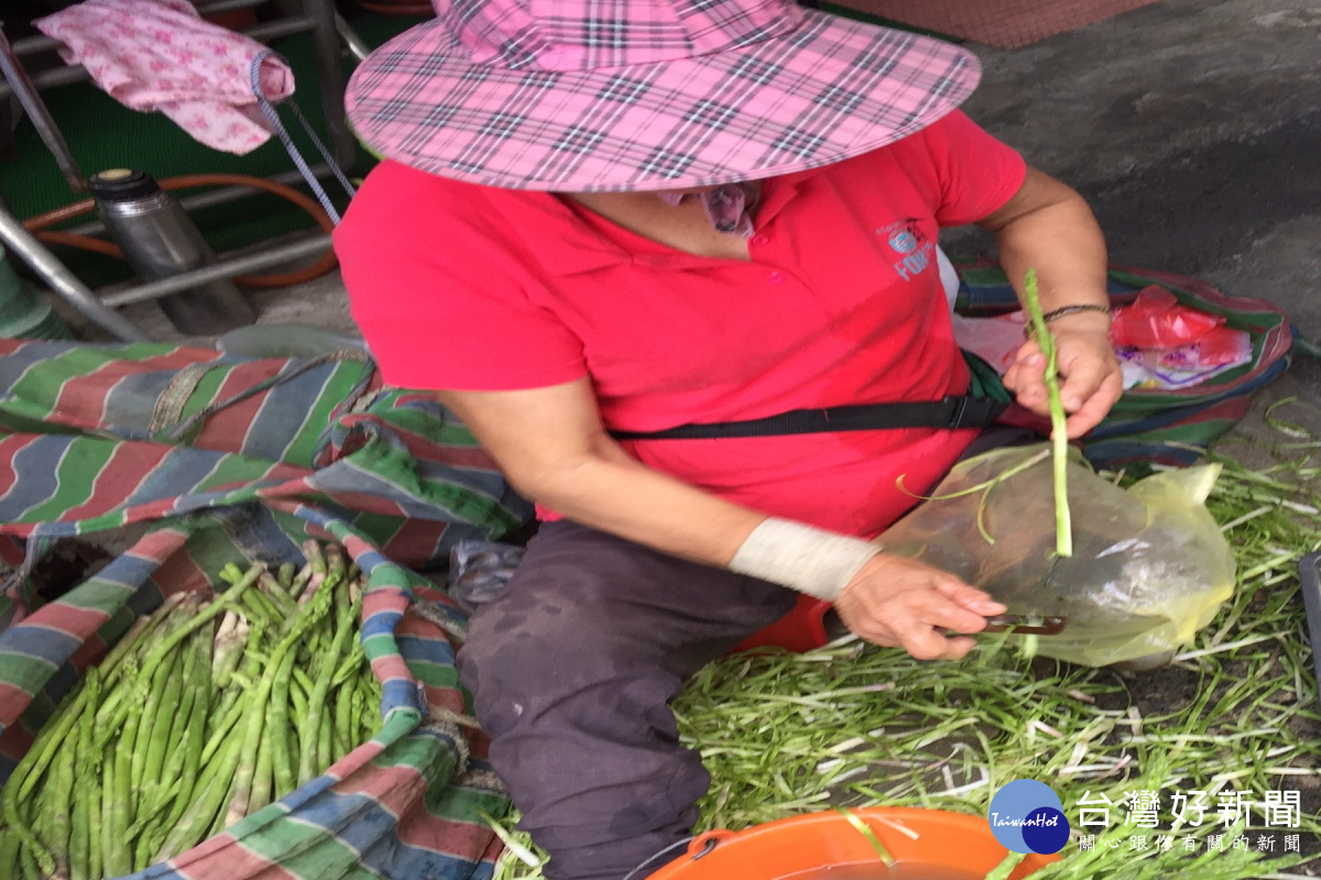 蘆筍根部再次使用多元研發成香鬆。(圖/記者黃芳祿攝)