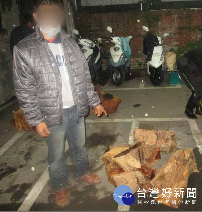大溪警分局查獲鋰嫌大批的肖楠木。(圖/記者陳寶印攝)