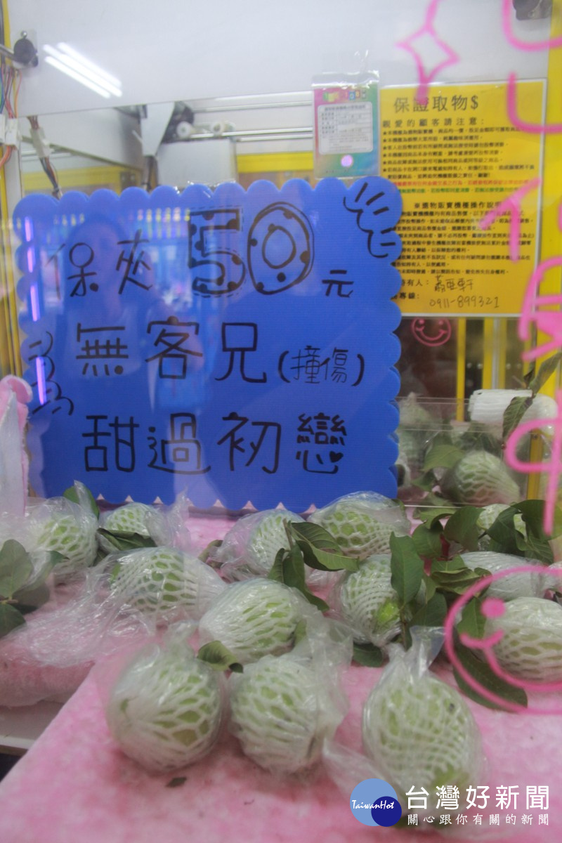 近年夾娃娃機風行,業者出奇招,擺放在地農特產「芭樂」,也給客人新鮮感,並可促銷農產品,果然吸引不少「夾客」。(記者張溎壕攝)
