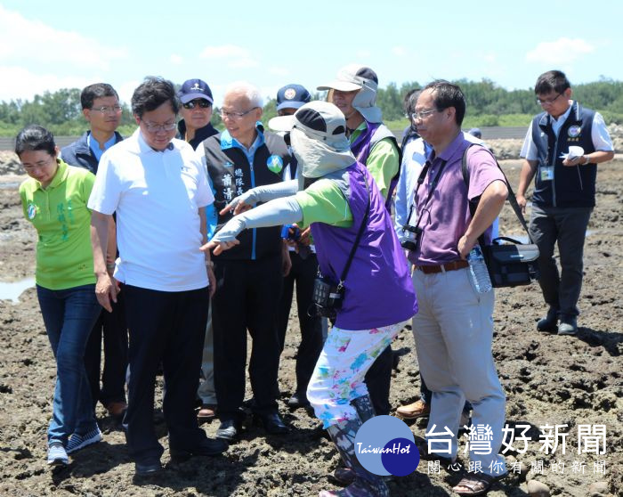 鄭文燦市長實地勘察觀新藻礁 。