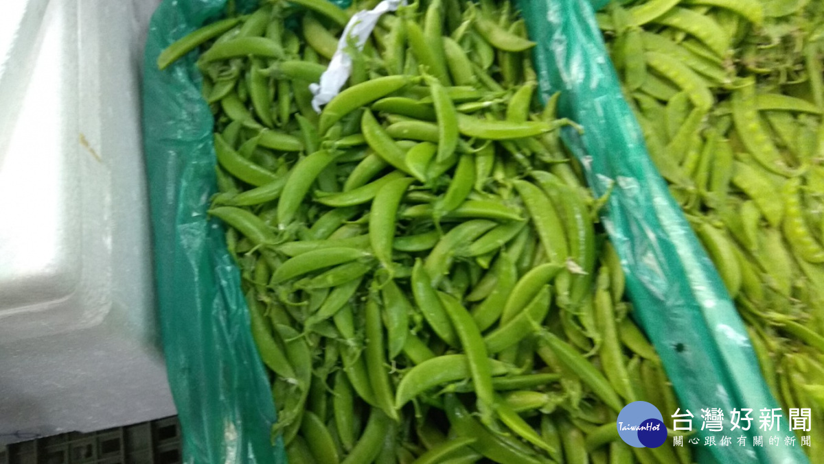 台北市衛生局6日公布最新生鮮蔬果檢驗結果，濱江市場19-12攤販賣的甜豆，被驗出7種農藥殘留超標。（圖／台北市衛生局）