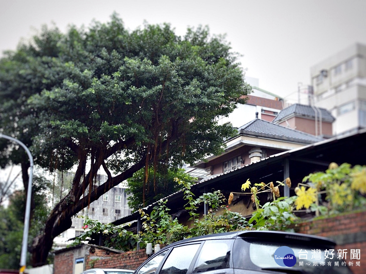 東國街日式宿舍活化 將成為桃園文學館