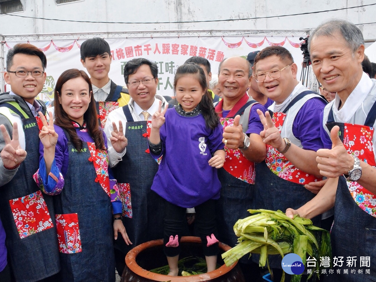 桃園市千人踩客家酸菜活動 傳承客家百年美食文化