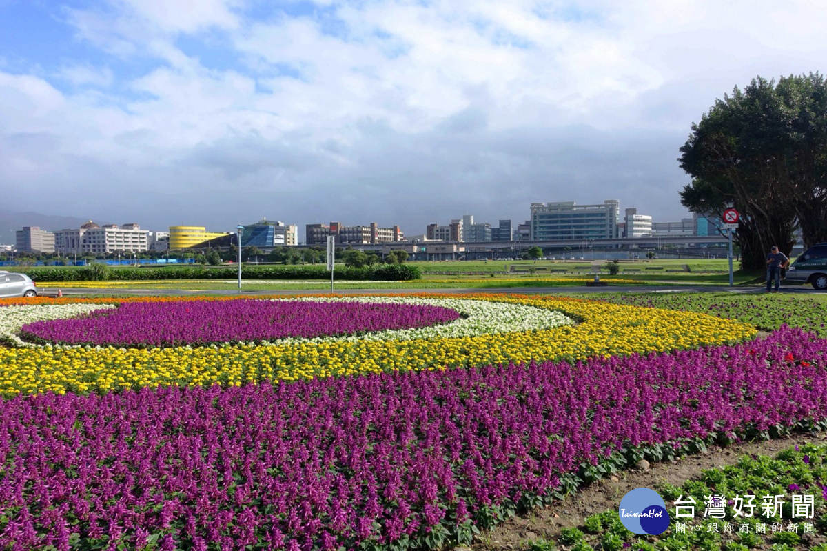 北市河濱14萬盆花海限時賞　一路綻放至明年1月底