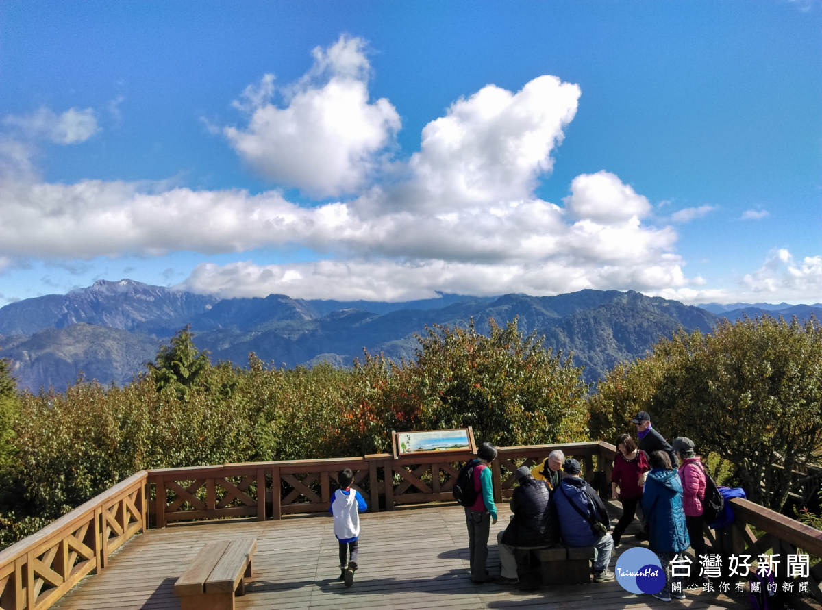 到小笠原山觀景平台，歡迎順遊高山植物園