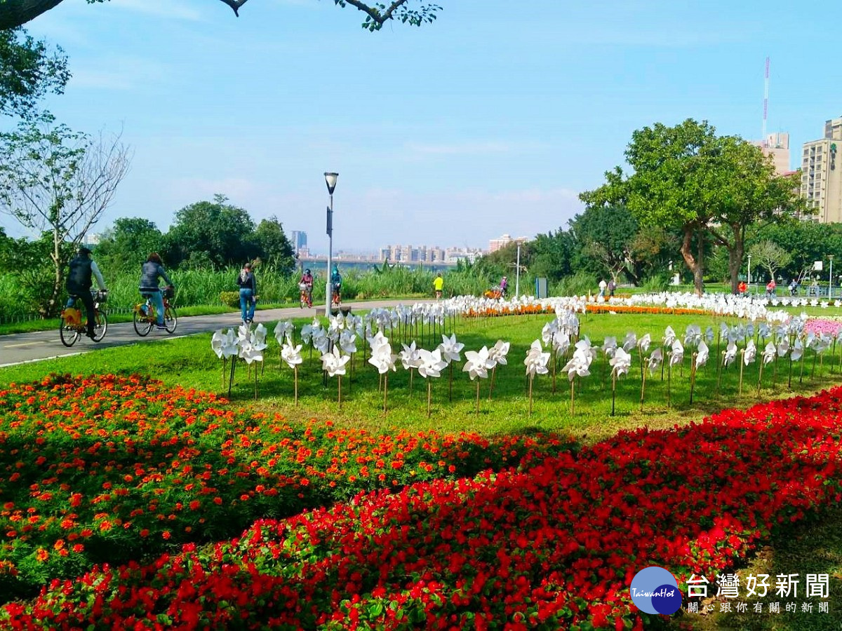 媲美國外花園　北市河濱豔麗花海浪漫綻放中