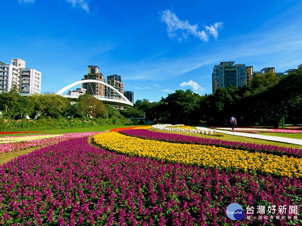 媲美國外花園 北市河濱豔麗花海浪漫綻放中