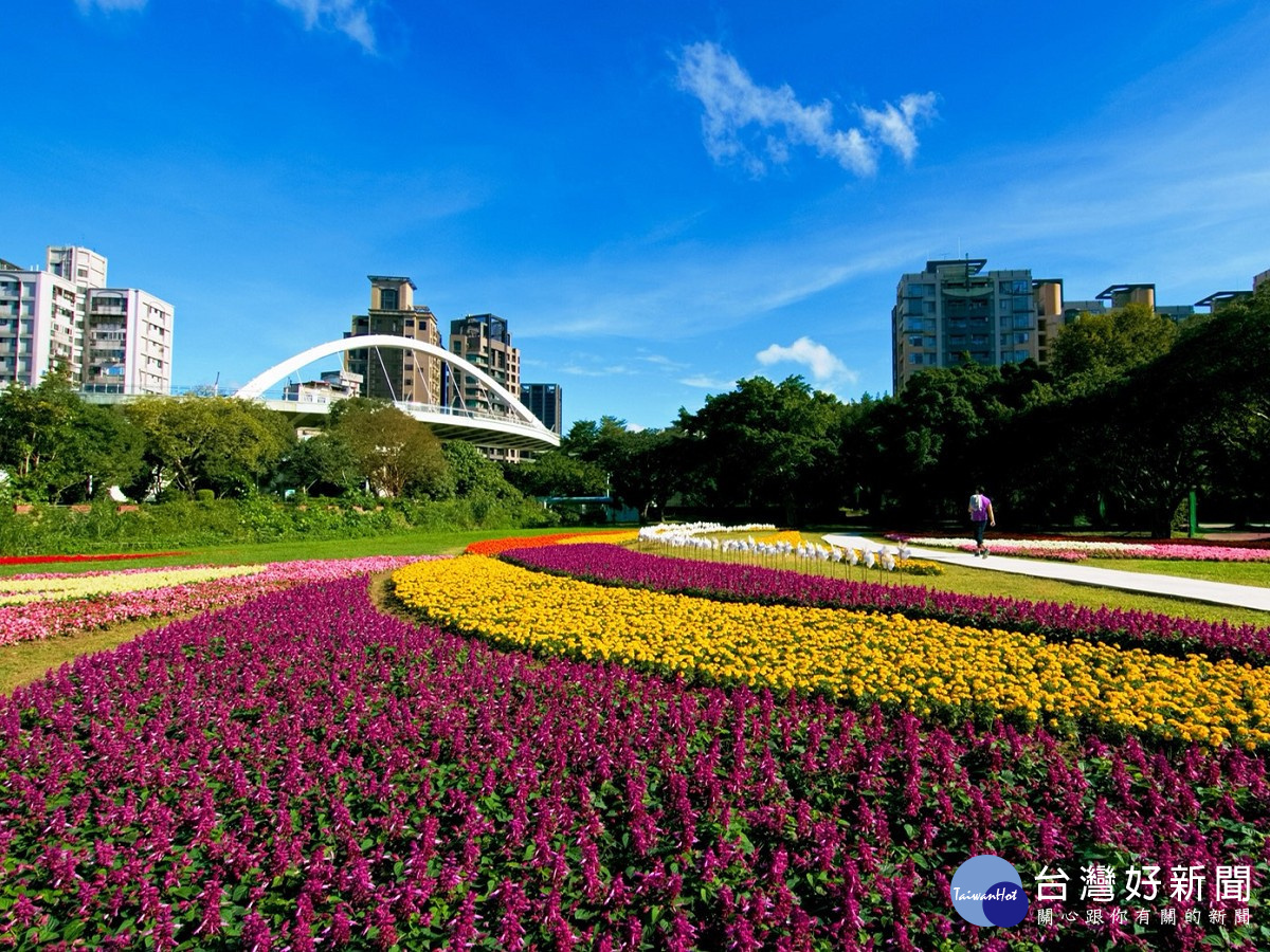 媲美國外花園　北市河濱豔麗花海浪漫綻放中