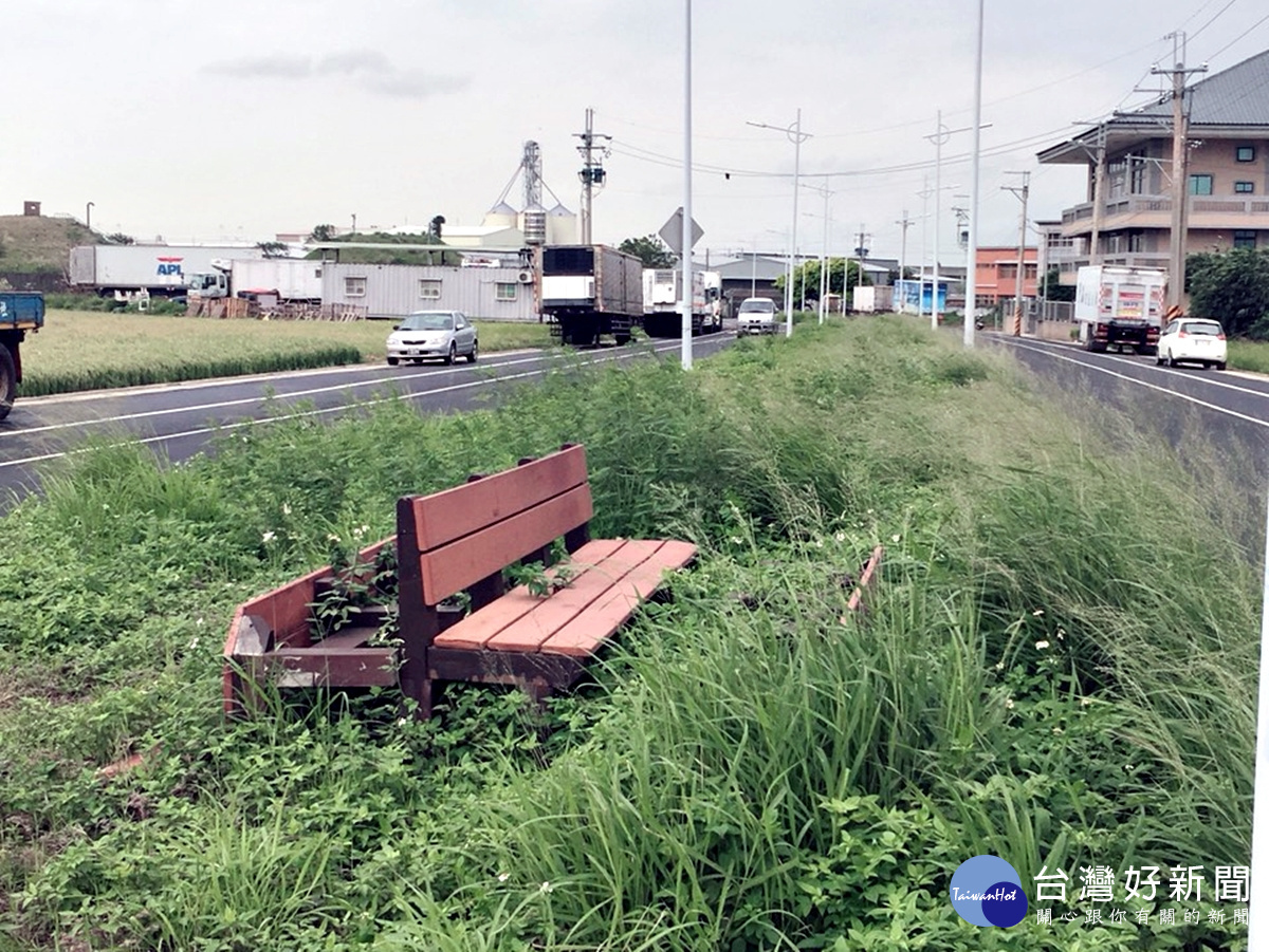 大華北街中間設景觀道,壓縮了路寬不說,景觀道雜草叢生市政府也不處理
