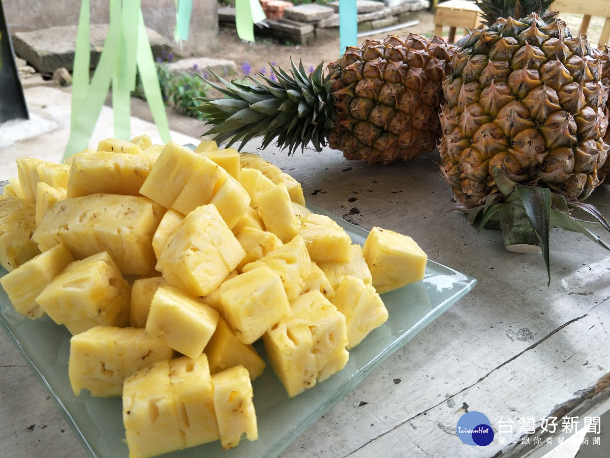 九號風車的金鑽鳳梨。