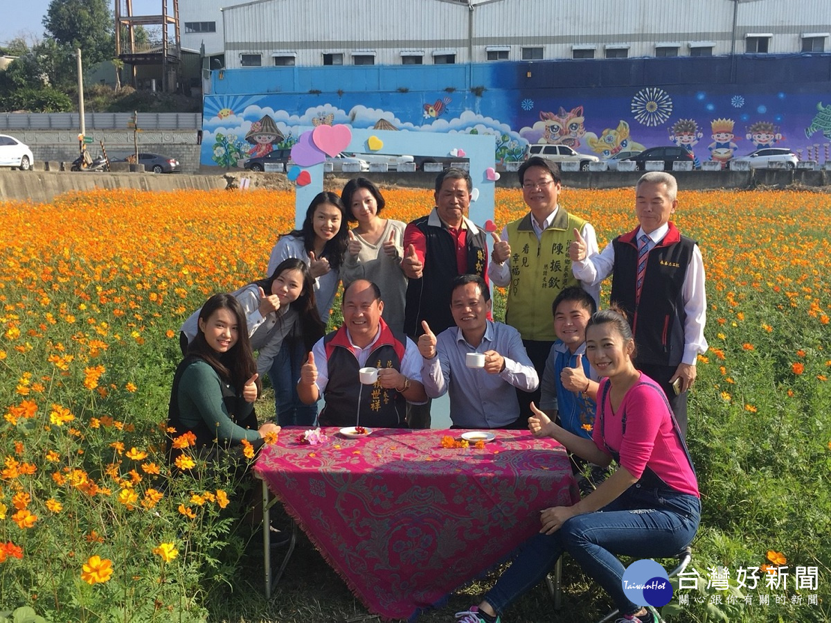 打卡新景點彰縣花壇三春老樹彩繪牆波斯菊盛開 台灣好新聞taiwanhot Net 打卡新景點彰縣花壇三春老樹彩繪牆波斯菊盛開 台灣好新聞taiwanhot Net