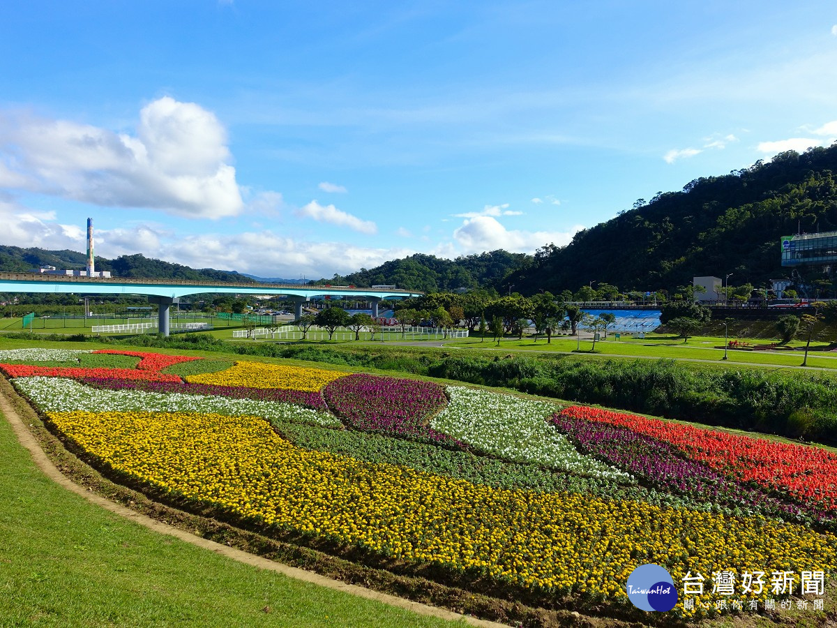 賞花不必人擠人 北市道南河濱11萬盆童趣花海繽紛綻放中