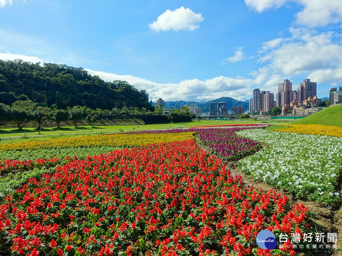 賞花不必人擠人 北市道南河濱11萬盆童趣花海繽紛綻放中