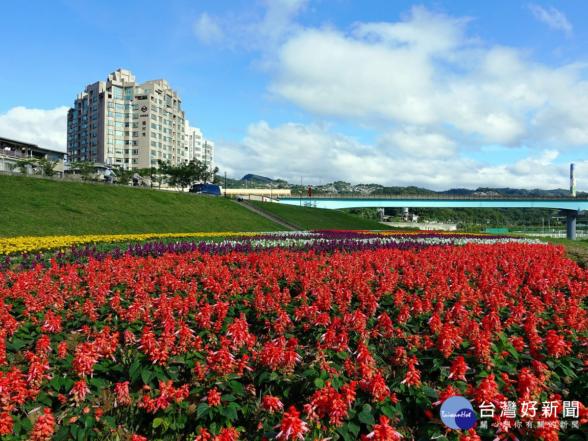 賞花不必人擠人 北市道南河濱11萬盆童趣花海繽紛綻放中