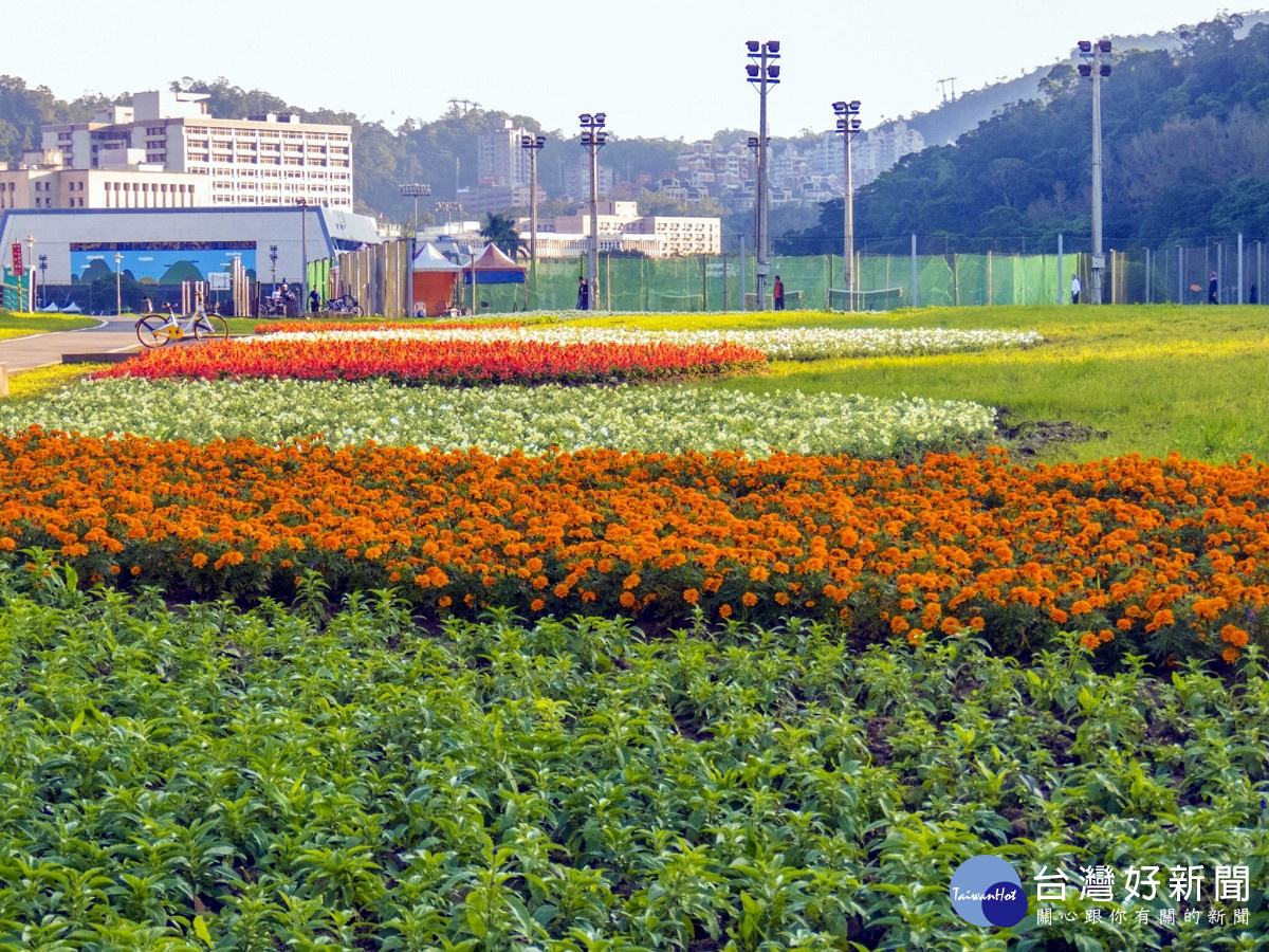 賞花不必人擠人　北市道南河濱11萬盆童趣花海繽紛綻放中