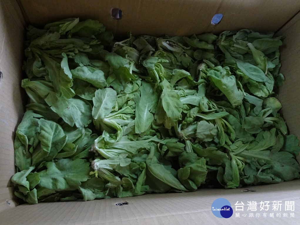 北市抽檢果菜批發市場周般販賣的蔬果,發現一件「萵苣」被驗出殺菌劑Mepronil 滅普寧0.16ppm(標準:0.01ppm以下)。(圖/台北市衛生局)