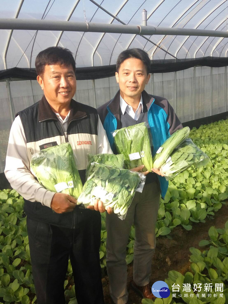 桃園果菜市場公司提供桃園在地生產的有機蔬菜給民眾兌換,並且結合公益,也將邀請肯納兒參與市集,一同協助服務。(圖/桃園果菜市場公司提供)