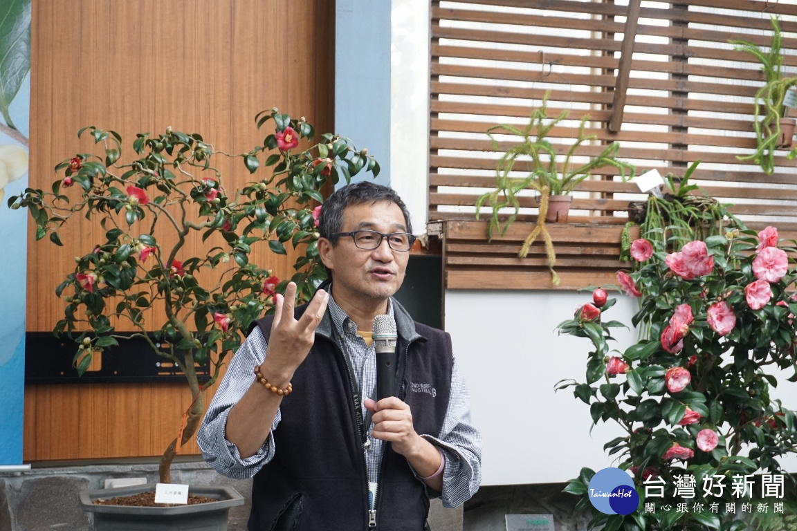策展人楊宗愈研究員介紹原生種茶花的重要性。(圖/國立自然科學博物館)