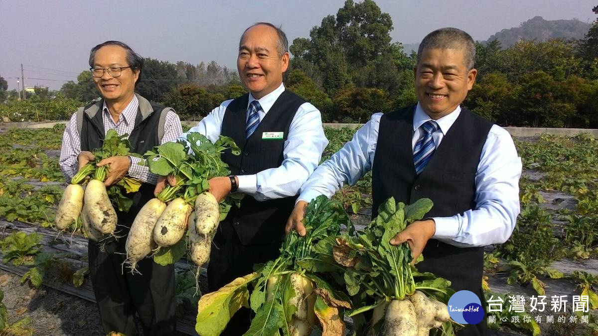 行銷農村觀光　二水鄉農會推出「鄉村味」拔蘿蔔回饋活動
