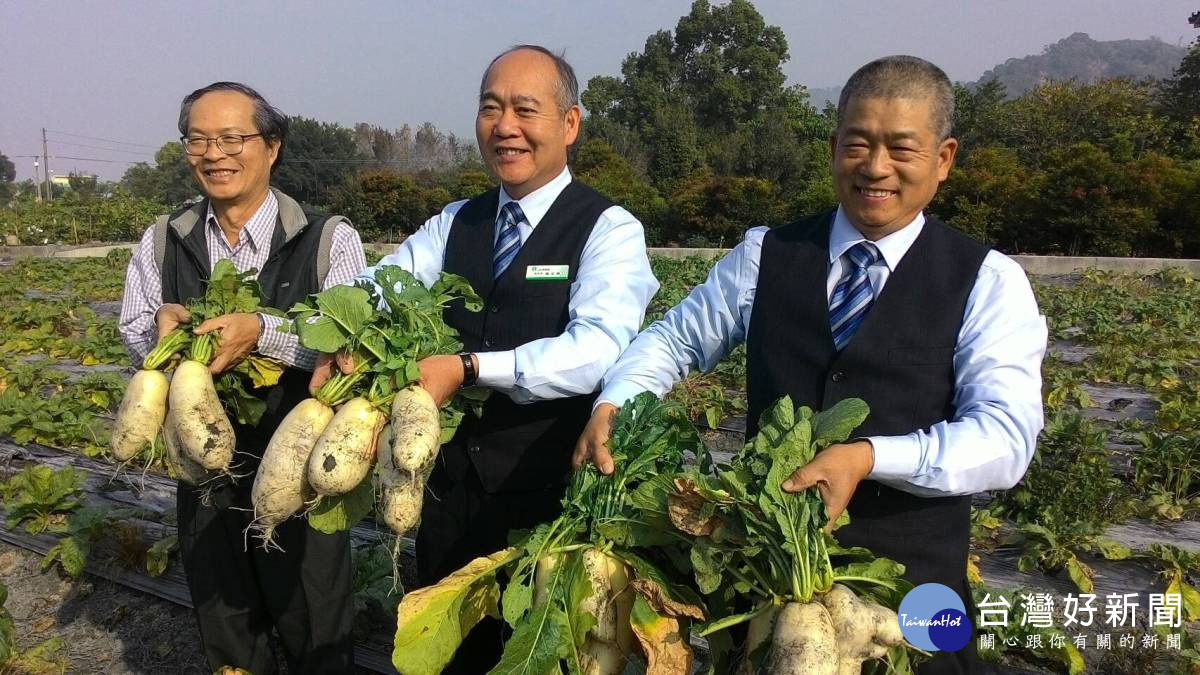 行銷農村觀光 二水鄉農會推出「鄉村味」拔蘿蔔回饋活動