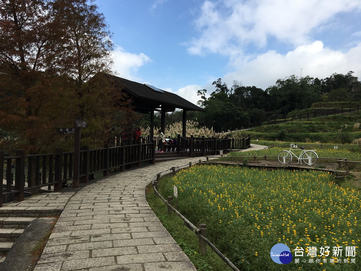 樟樹步道花海腳踏車意象（圖／大地處提供）