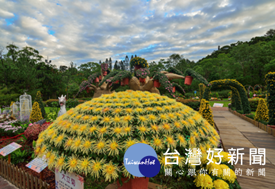 第2名:「賞菊」 攝自蔡佳羽